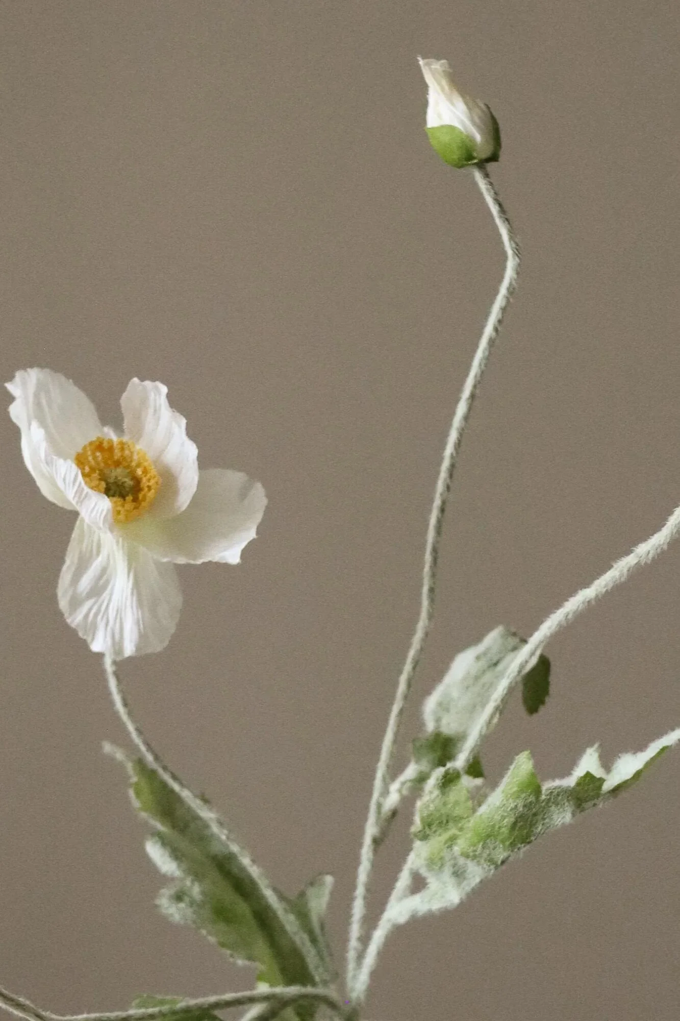 Miniaturebillede 2